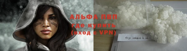 мяу мяу мука Абаза
