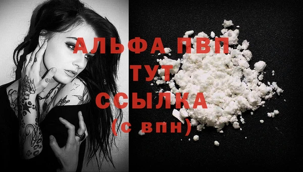 мяу мяу мука Абаза