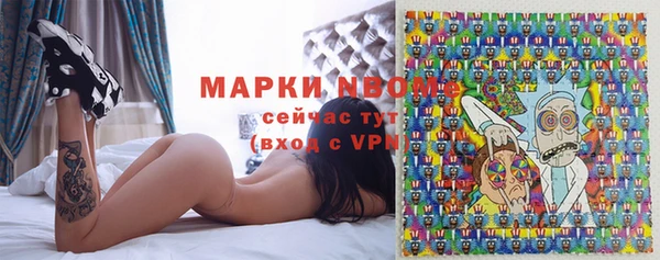 шишки Абинск