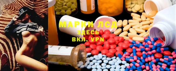 мяу мяу мука Абаза
