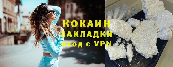 шишки Абинск