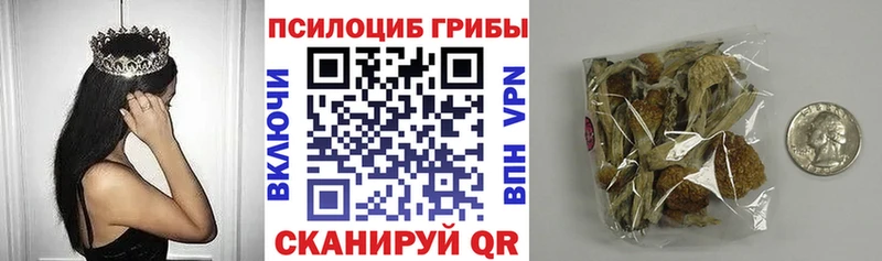 цены Алатырь Псилоцибиновые грибы ЛСД
